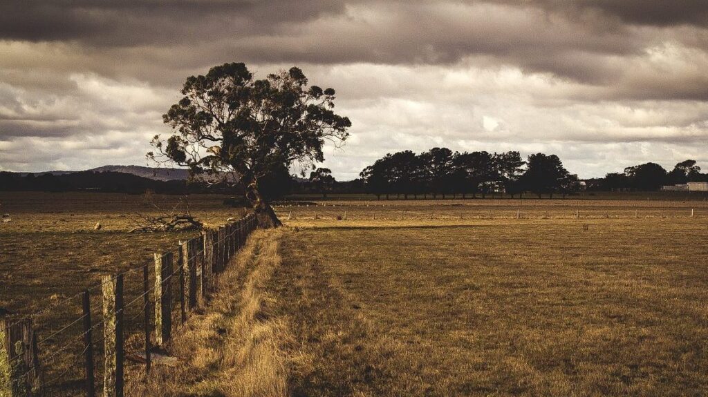 countryside, fence, fields
