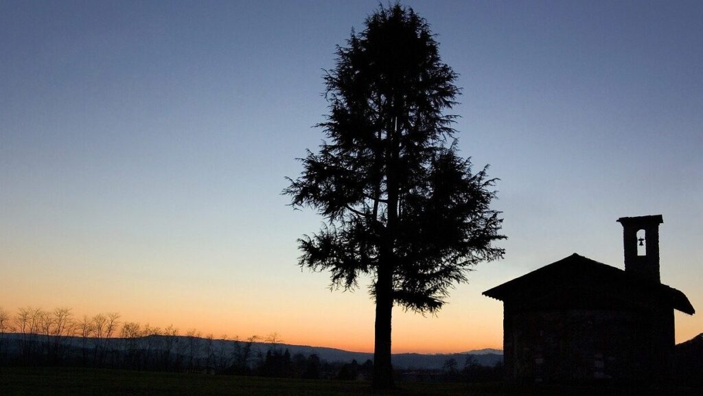 landscape, sunset, silhouette