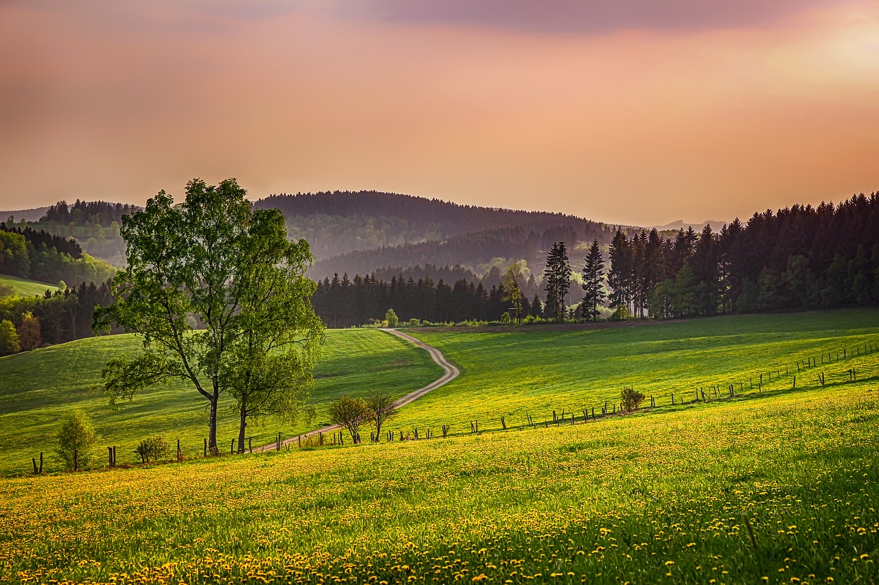 sauerland, germany, landscape